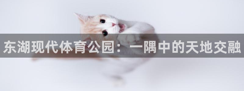 betway西汉姆：东湖现代体育公园：一隅中的天地交融