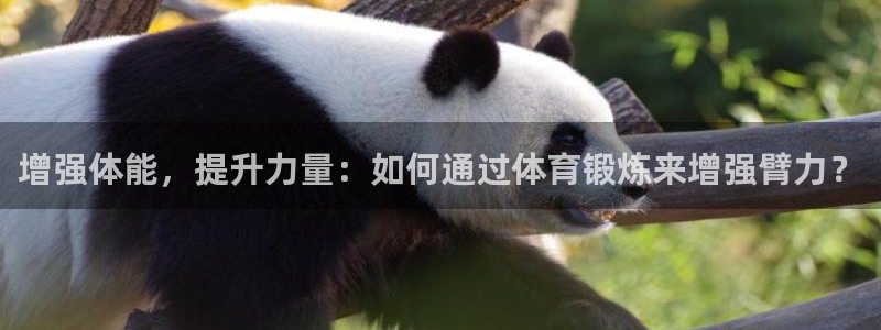 Betway精装版最新下载：增强体能，提升力量：如何通过体育锻炼来增强臂力？