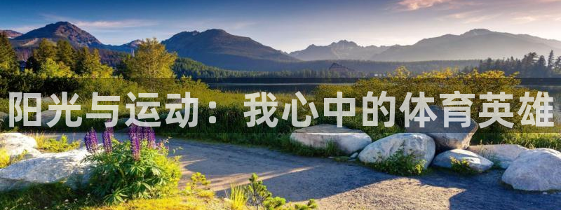 betwaybetmalawi：阳光与运动：我心中的体育英雄