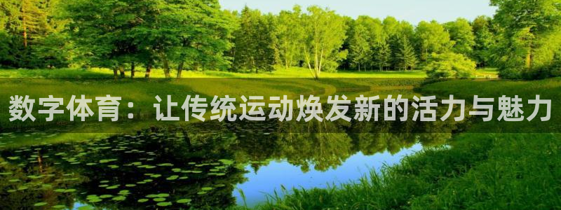 betway必威西汉姆联：数字体育：让传统运动焕发新的活力与魅力