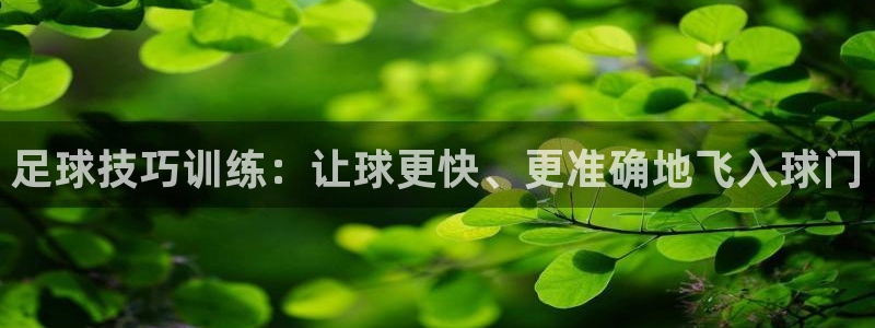 Betway体育在线登录：足球技巧训练：让球更快、更准确地飞入球门